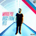 Mario Piu - Mas Experience (Fluctor Remix)