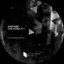 Ghost Wire - A Theory Forms
