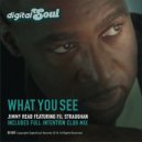 Jimmy Read Featuring Fil Straughan - What You See (Radio Edit)