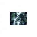 Mindfulness Healing Bgm Project - Encounter & Safety (Original Mix)