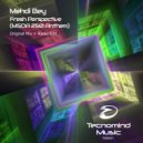 Mehdi Bey - Fresh Perspective (MSOA 250 Anthem)