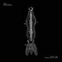 Gypsy (LB) - Nebulla Falls (Original Mix)