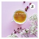 Ante Perry - Quarantine
