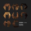 Ziger - In Time