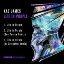Kaz James - Life In Purple