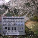 Kick.S - X1269