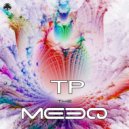 The MeeQ - Days Of Illusion