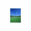 Mindfulness Healing Bgm Project - Delacroix & Energy