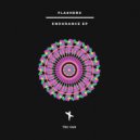 Flashers - Endurance