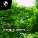 Trilingo & Cosimo - Like This (Original Mix)