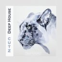 Ranchatek, Soulplace - Deep Emotions (Original Mix)