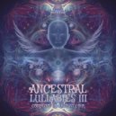 Ancient Core - Searching For A Sanctuary (Side Liner Remix)