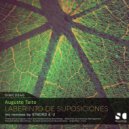 Augusto Taito - Laberinto de Suposiciones (-2 Another Remix)