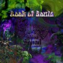 Mind Distortion System - Nibiru Passage (Rmx) (Original Mix)