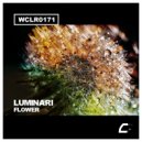 Luminari - Flower