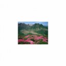 Mindfulness Healing Bgm Project - Signal and Rest