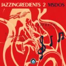 mSdoS - The Fusion Jazz (Original Mix)