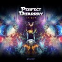 Perfect Disarray - Lack Of Research (Original Mix)