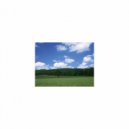 Mindfulness Healing Bgm Project - Word & Refresh (Original Mix)
