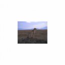 Mindfulness Healing Bgm Project - Imagination & Insomnia