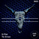 DJ Pilot - The Stream