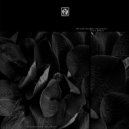 Ricardo Garduno - Not The First Time