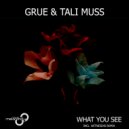 GRUE & Tali Muss - What You See (Witness45 Remix)