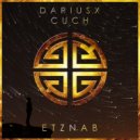 DariusX - Destiny (Original Mix)