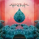 NERTUM - Transcending Dimension