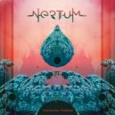 NERTUM - Universal Code (Original Mix)