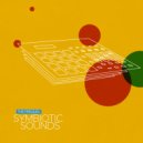 Symbiotic Sounds - Dance With You (Original Mix)
