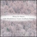 Mindfulness Neuro Feedback Partner - Triassic & Sensitivity (Original Mix)