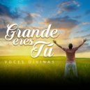 Voces Divinas - Grande Eres Tú ()