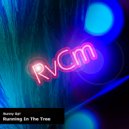 Sunny Up! - Running In The Tree