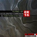 Accelerated Corrosion  - Flying