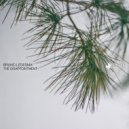 Bruno Ledesma - Disappoint