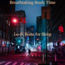 Lo-fi Beats for Sleep - Funky Lo-Fi - Ambiance for Working at Home ()