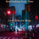 Lo-fi Beats for Sleep - Breathtaking Study Time