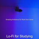 Lo-Fi for Studying - Amazing Ambiance for Work from Home