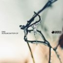 Dnio - Do Not Force It (Original Mix)