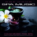 One Hour Spa Music & Spa Station & Spa Music Playlist - Calm Music For Spa ()