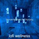 lofi wellness - Artistic Background Music for Work from Home