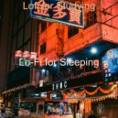 Lo-Fi for Sleeping - Quiet Soundscapes for Chilling at Home