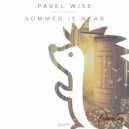 Pavel Wise - Acid Cruise (Original mix)