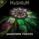 Mashrum - Biorobots (Original Mix)