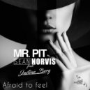 Mr. Pit & Sean Norvis feat. Justine Berg - Afraid To Feel
