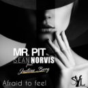 Mr. Pit & Sean Norvis feat. Justine Berg - Afraid To Feel