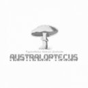 Australoptecus - Changes (Original Mix)