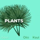 Oliii - Plants