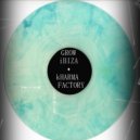 Grow (Ibiza) - Paradise (Original Mix)